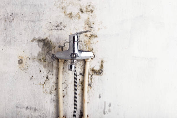 Best Residential Mold Removal  in Oregon, WI
