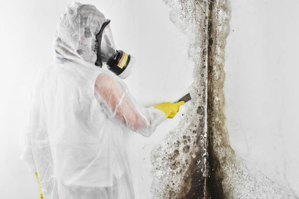 Mold Removal and Inspection in Oregon, WI