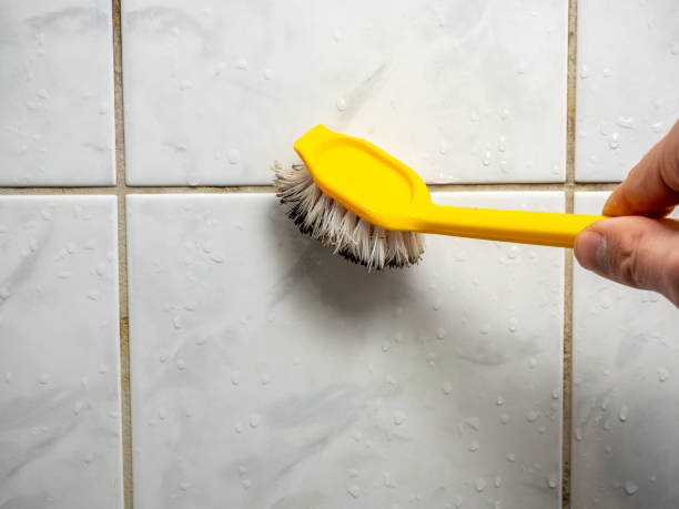 Best Professional Mold Removal  in Oregon, WI