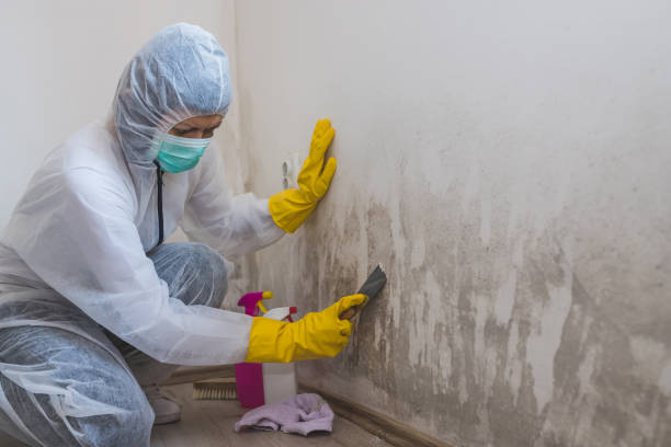 Best Mold Damage Repair  in Oregon, WI