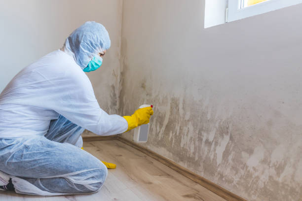 Certified Mold Removal in Oregon, WI
