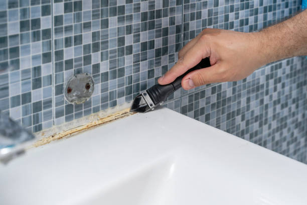 Best Mold Remediation Services  in Oregon, WI