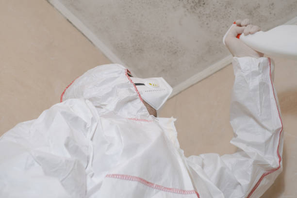 Best Mold Removal and Inspection  in Oregon, WI