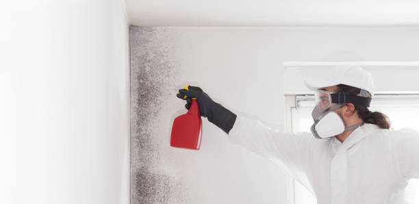 Best Mold Testing  in Oregon, WI